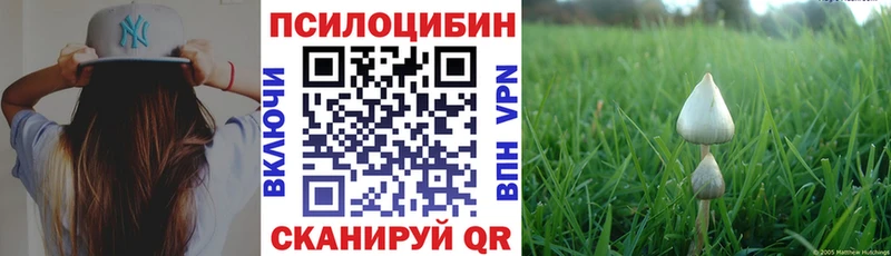 Псилоцибиновые грибы Cubensis  Тарко-Сале 